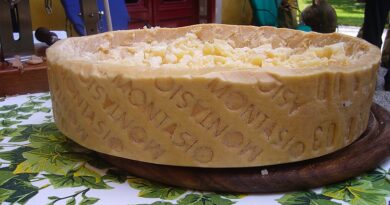 Итальянский сыр Montasio
